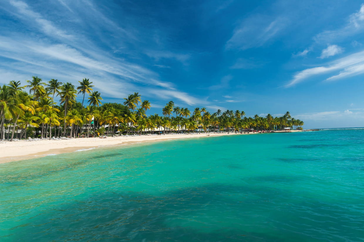 antilles