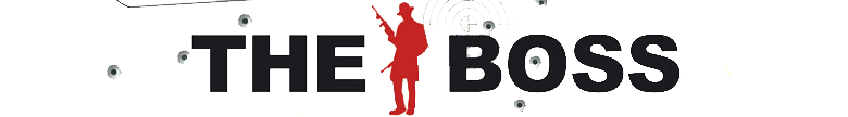The Boss vue jeu 2